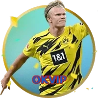 OKVIP